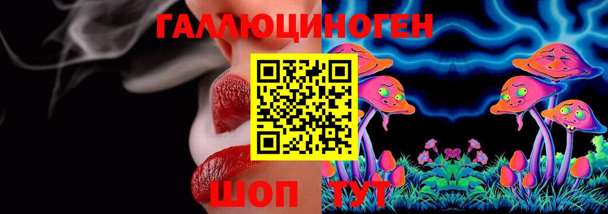 дарнет шоп  Вход с VPN  Ефремов  Псилоцибиновые грибы Psilocybine cubensis 